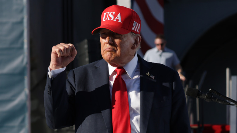 Donald Trump raising his hand in a fist wearing a red "USA" hat