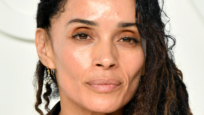 Lisa Bonet poses