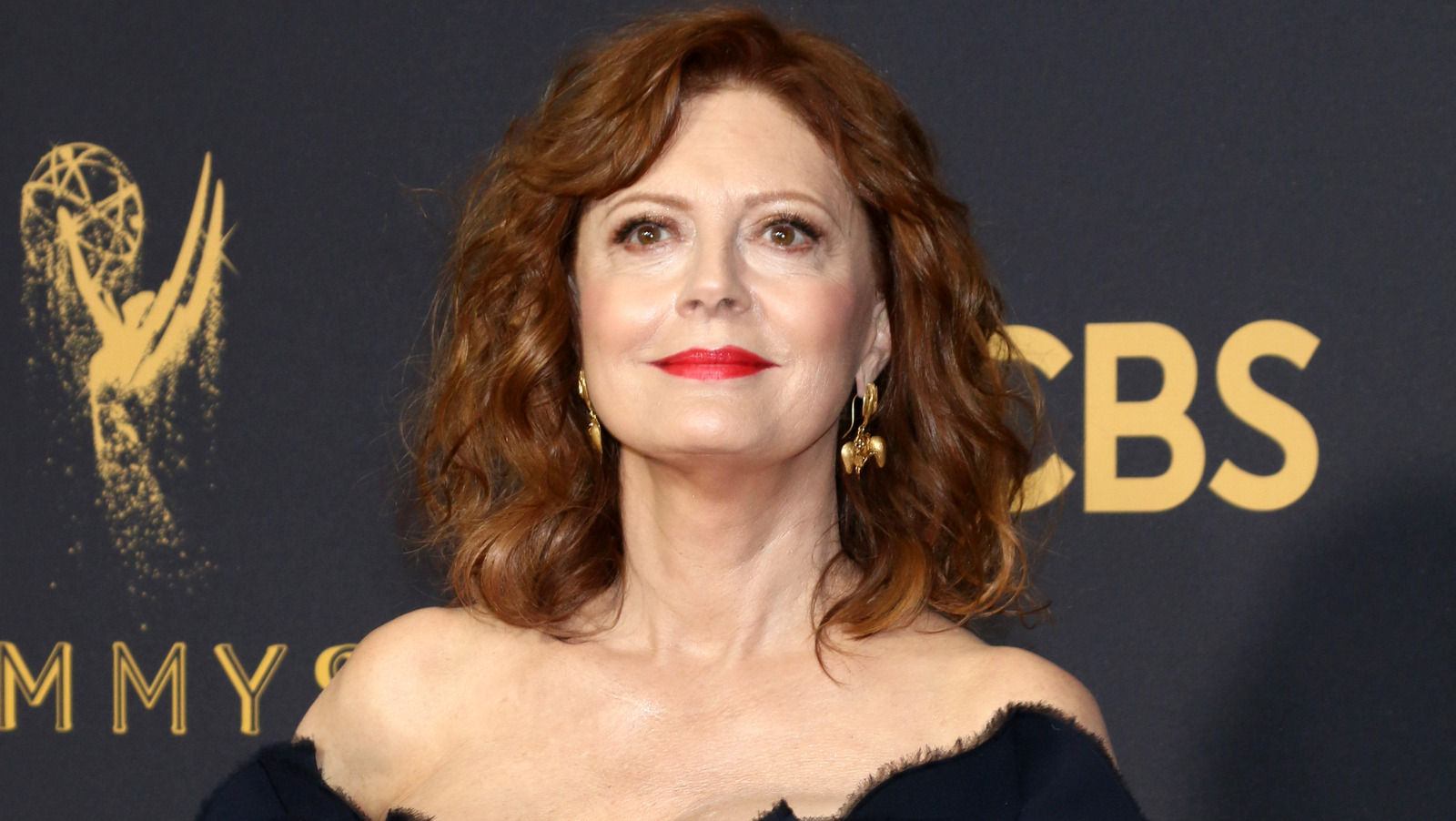 スーザン・サランドンが直面した法的ドラマのすべて
