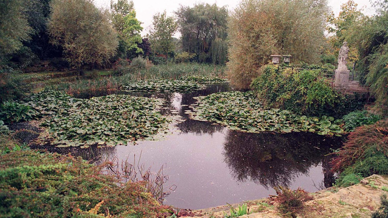 The pond at Ray Mill House