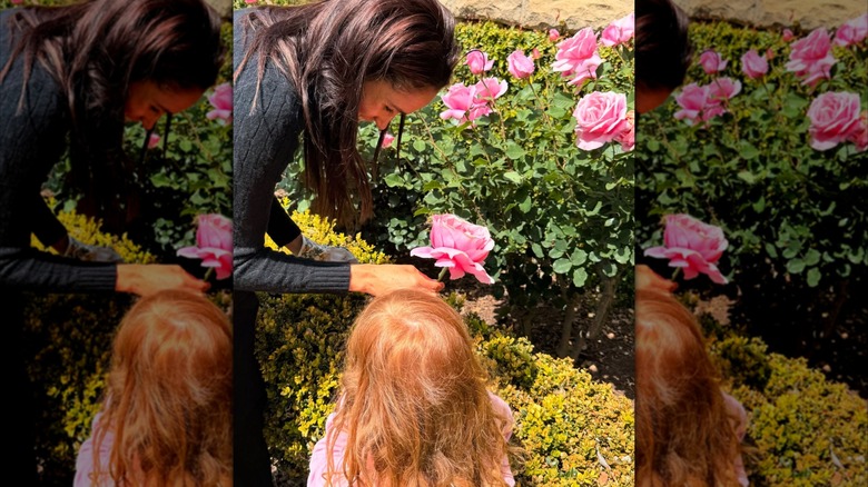 Meghan Markle and Princess Lilibet picking flowers