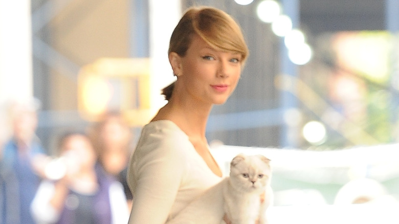 Taylor Swift carrying her cat in New York City