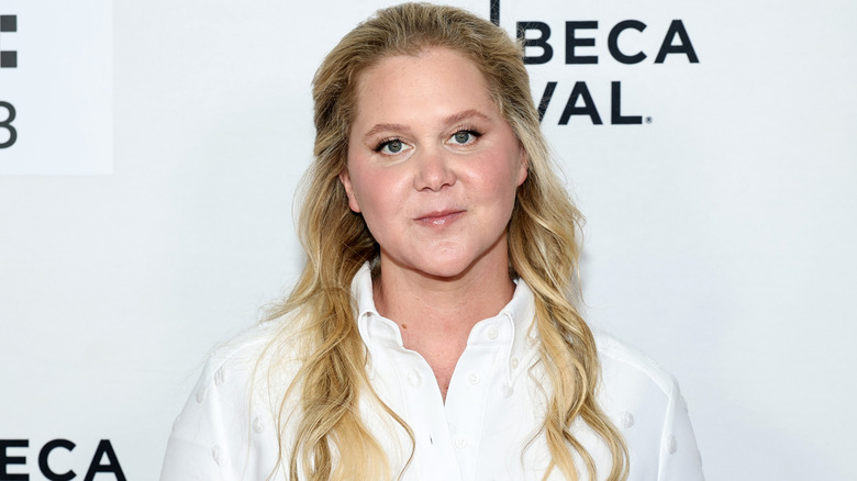 Amy Schumer at the 2025 "Room To Move" premiere