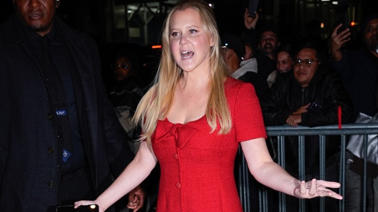 Amy Schumer is seen in New York City, NY (2025)