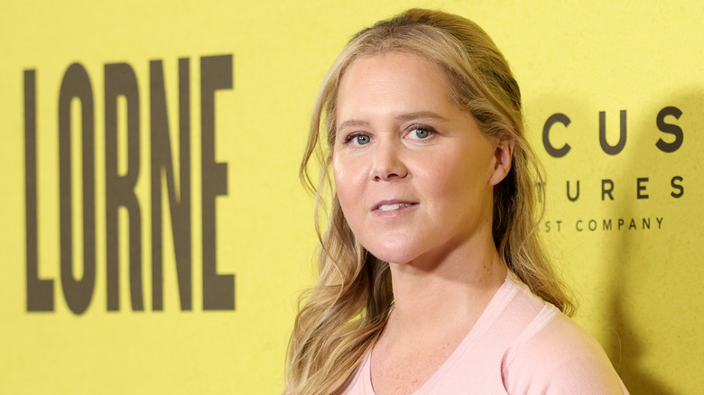 Amy Schumer in a pink shirt