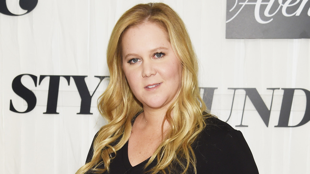 Amy Schumer's Famous Relative Might Surprise You