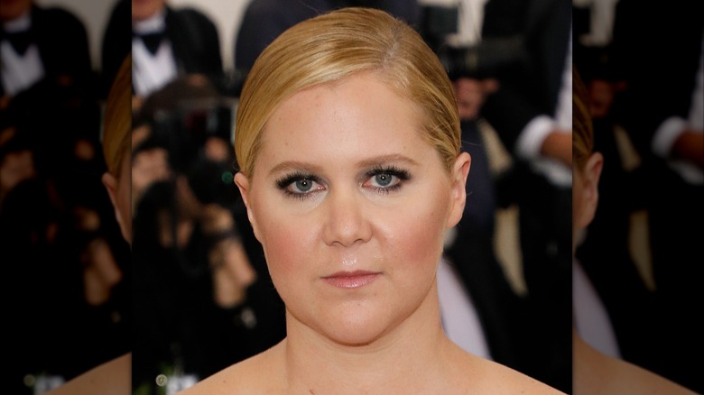 Amy Schumer posing