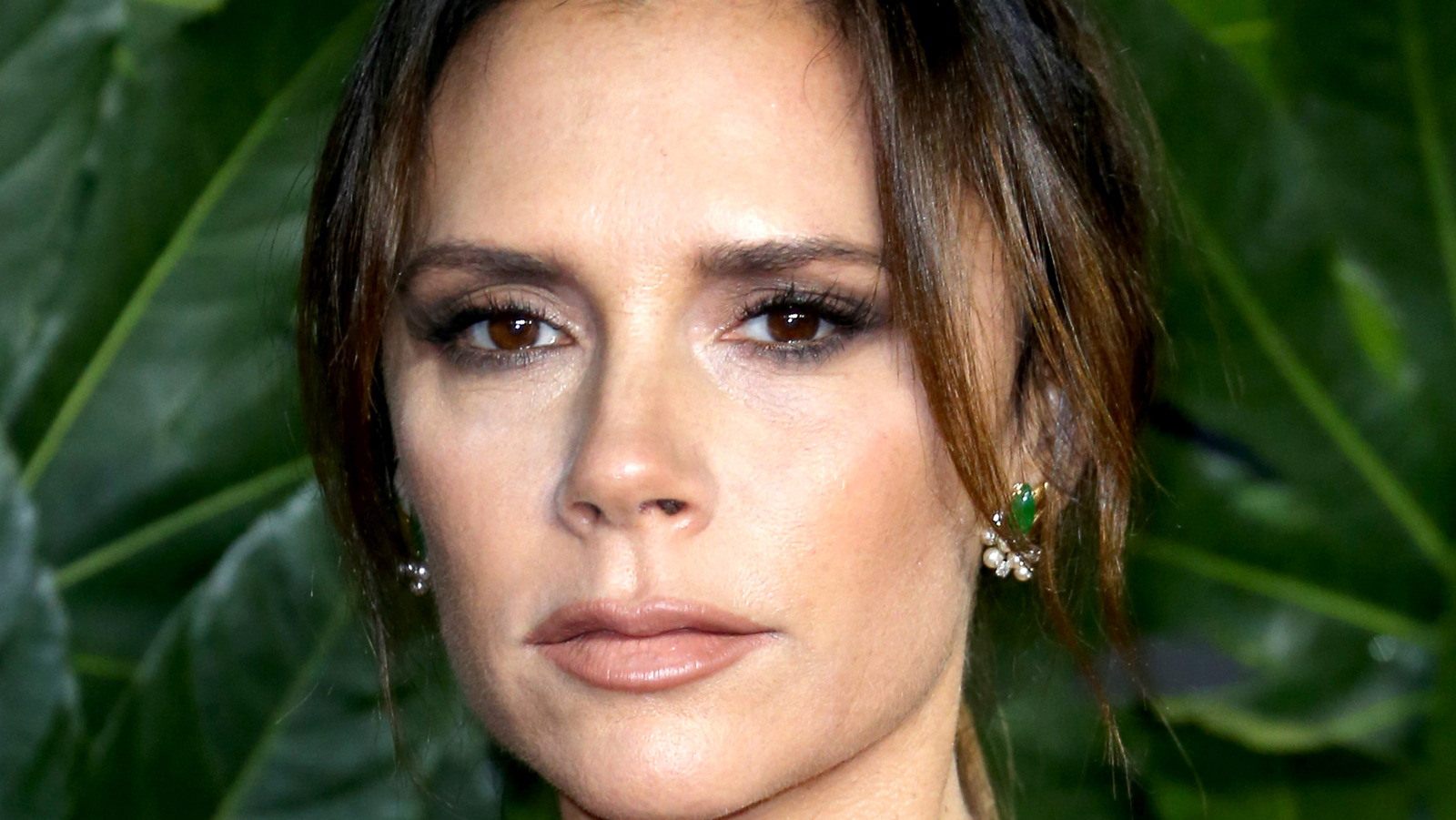 Victoria Beckham's Birkin bag collection and her new favorite: Pics