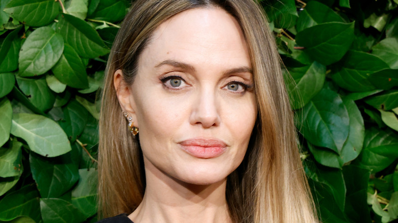 Angelina Jolie attends the 2024 Gotham Awards at Cipriani Wall Street on December 2, 2024 in New York City (2024)