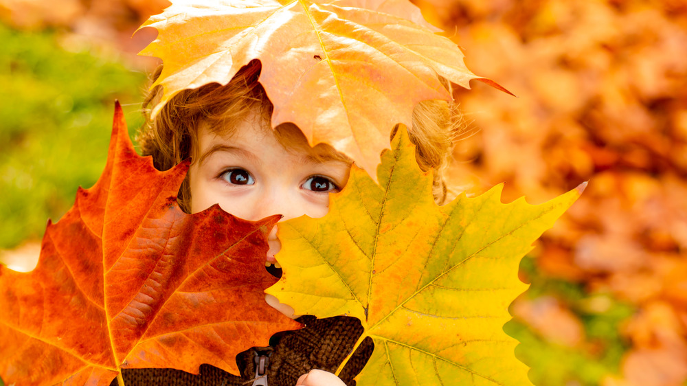 Baby in fall leaves