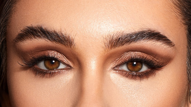 Close up of brown eyeshadow look