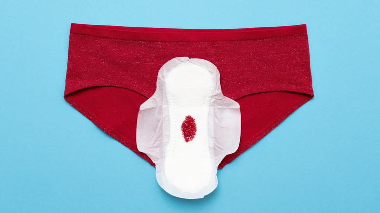 The Best Underwear Fabrics For Optimal Vaginal Health