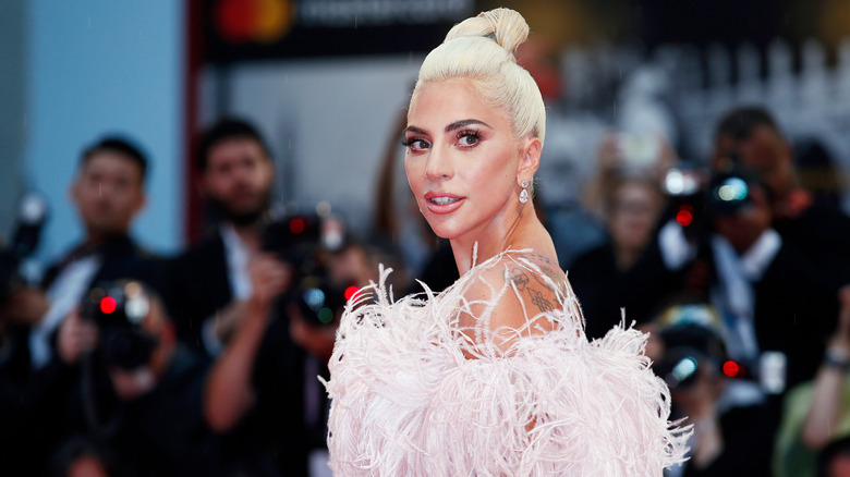 Lady Gaga feather dress