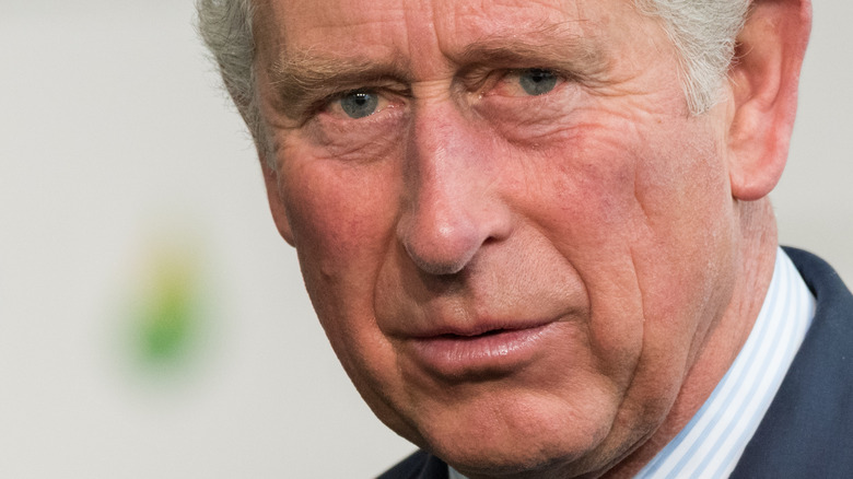 Prince Charles posing