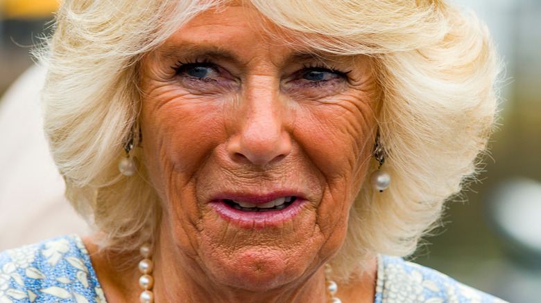 Camilla Parker Bowles making a face