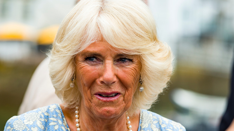 Camilla Parker Bowles making a face