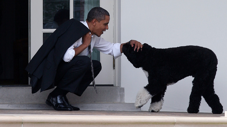 File: Barack Obama and Bo