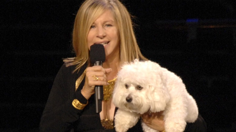 Barbra Streisand with her dog Sammie