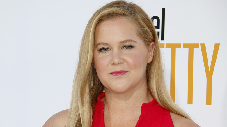 image of Amy Schumer at a red carpet premiere