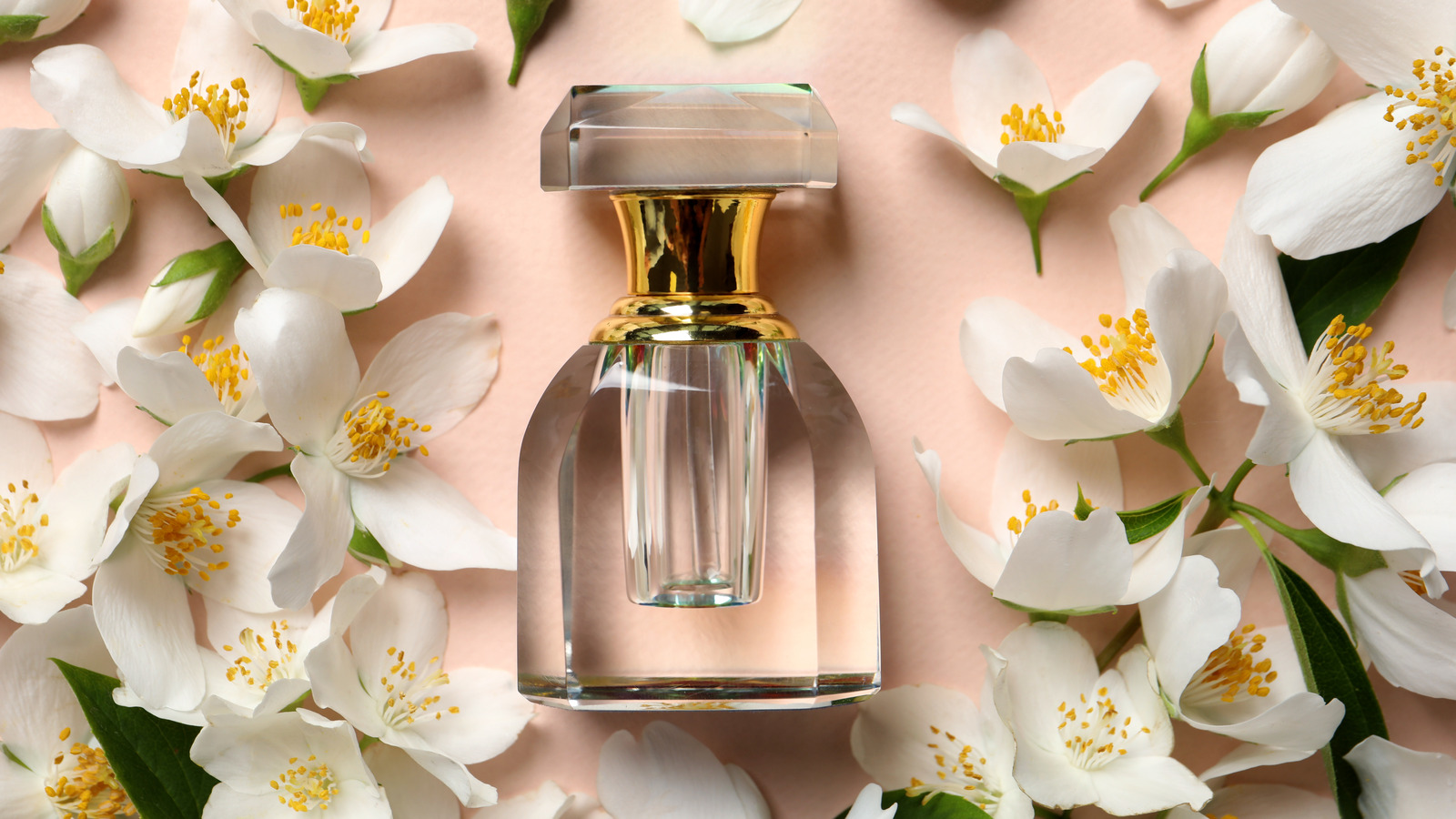 Best Perfumes With Jasmine Notes