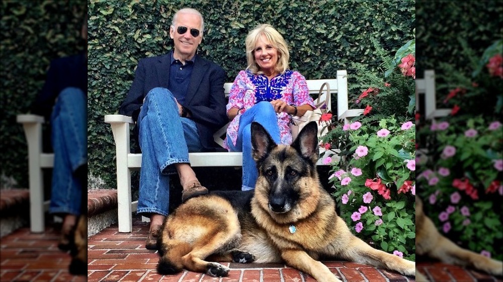 Joe and Jill Biden with their dogs Champ and Major