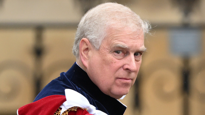 Closeup of Prince Andrew looking back at camera in royal robes