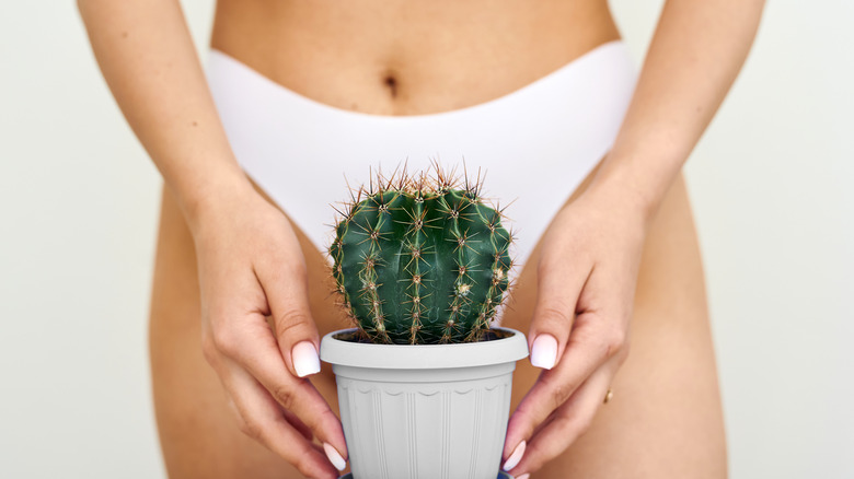 A woman wearing white underwear, holding a cactus 