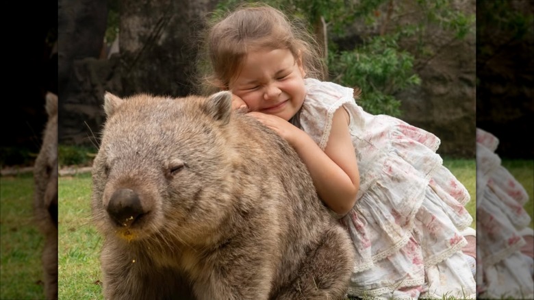 Bindi Irwin's daughter, Grace Warrior, hugging a wombat
