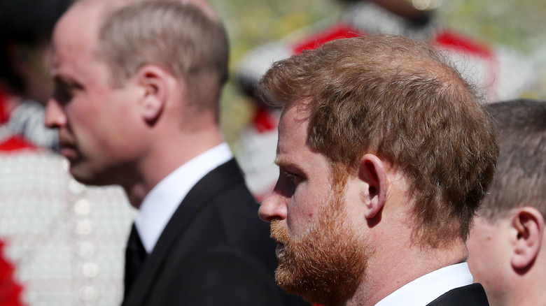 Prince William and Harry at Prince Philip's funeral