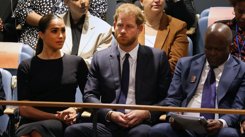 Prince Harry seated at the UN