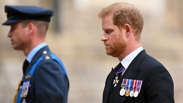 Prince William and Prince Harry