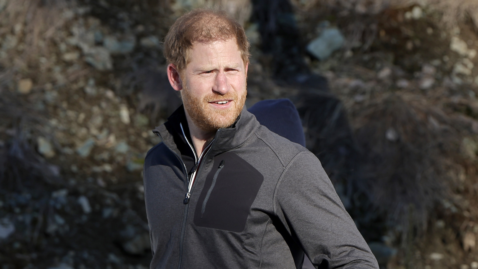 Physique Language Professional Tells Us Prince Harry's Reserved Interview Reveals Respect For King Charles