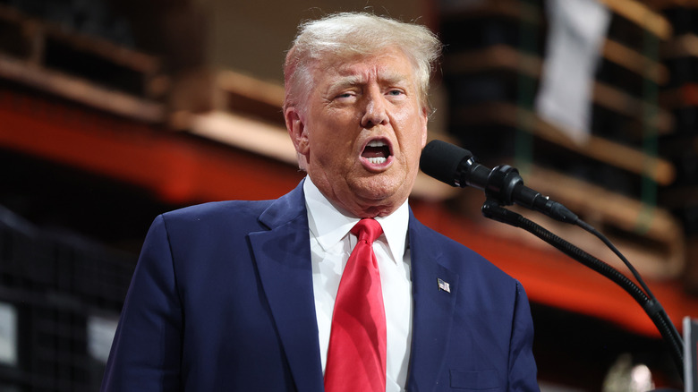 Donald Trump speaking at Clinton Township