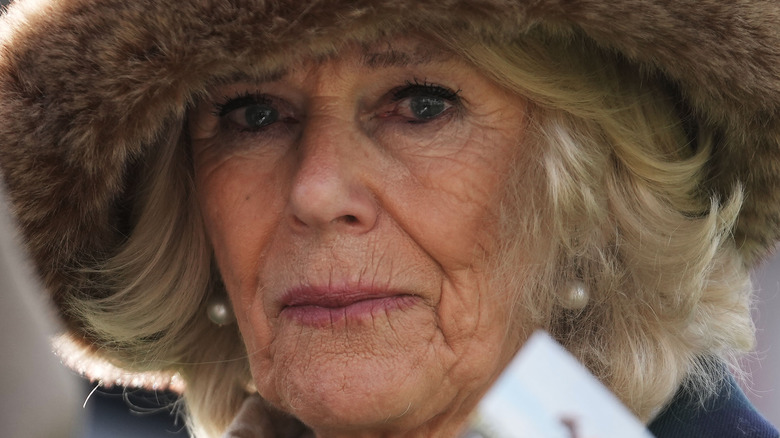 Camilla Parker Bowles posing for photo