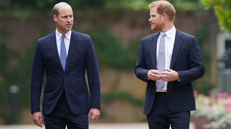 Prince William and Prince Harry walking together 