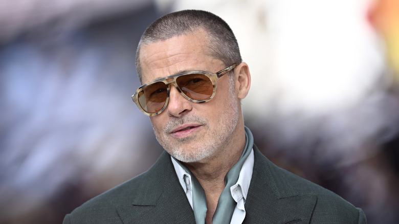 Brad Pitt poses at the 