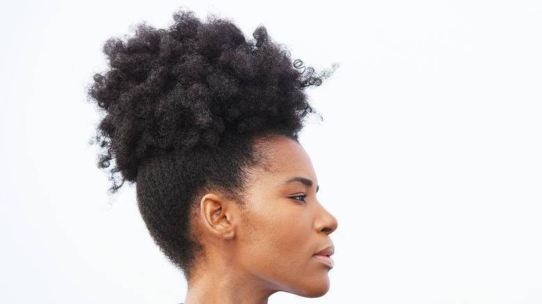Brilliant Updos You'll Love For Your Natural Hair