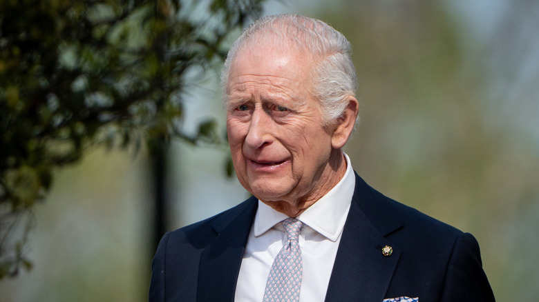 King Charles smiles while dressed in a suit and walking in an outdoor setting