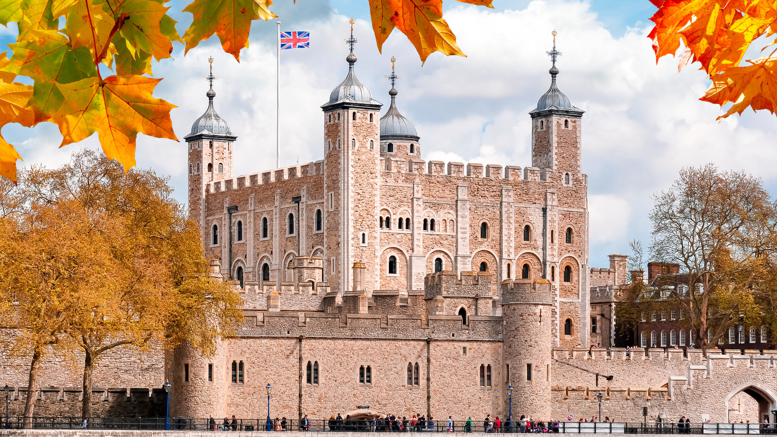 British Royals Used To Get Wild With A Personal Zoo In The Tower Of London(02)