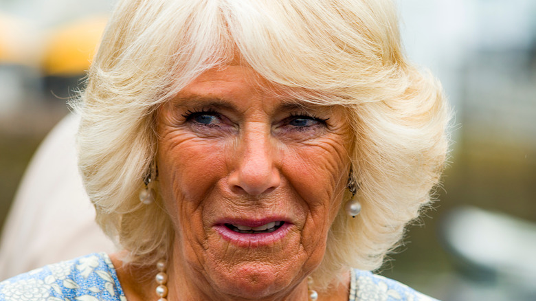 Duchess Camilla smiling