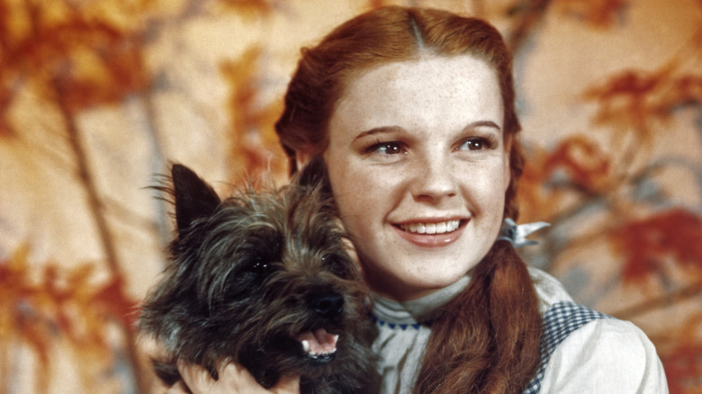 Toto and Dorothy smiling in The Wizard of Oz.