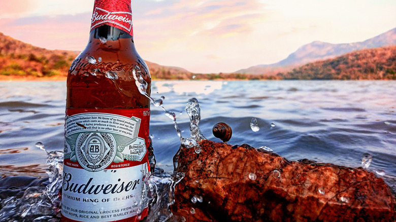 Bottle of Budweiser on a lake