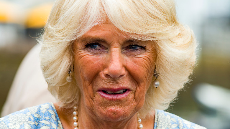 Camilla Bowles wears pearls