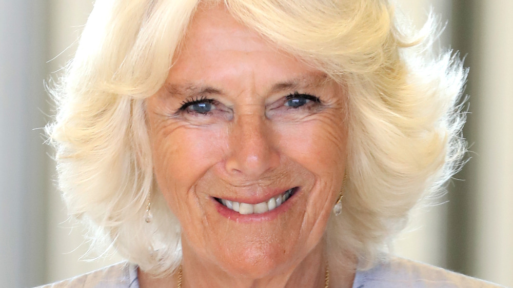 Camilla Duchess of Cornwall smiling