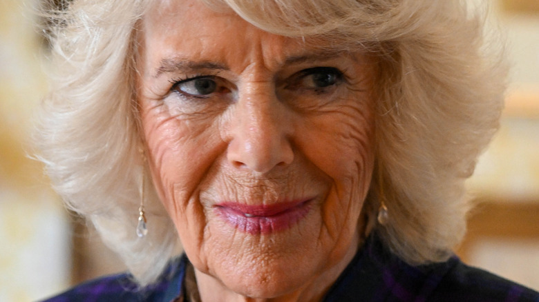 Camilla Parker Bowles 2019