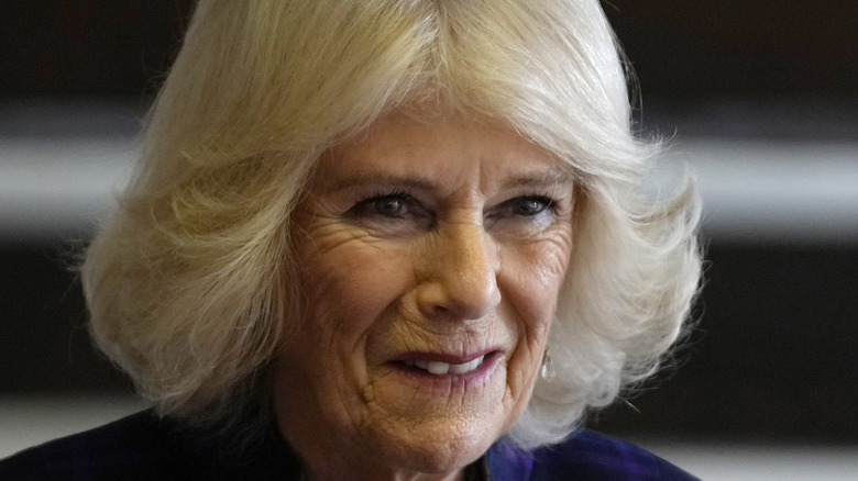 Camilla, Duchess of Cornwall smiling