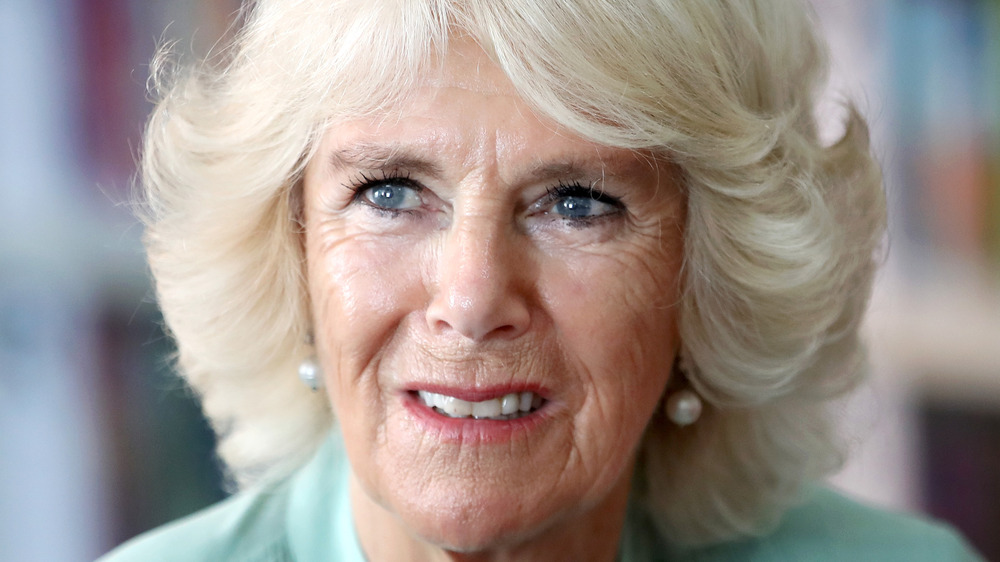 Camilla Parker Bowles hair