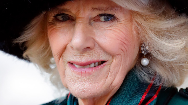 Camilla Parker Bowles with wide smile and pearl earrings