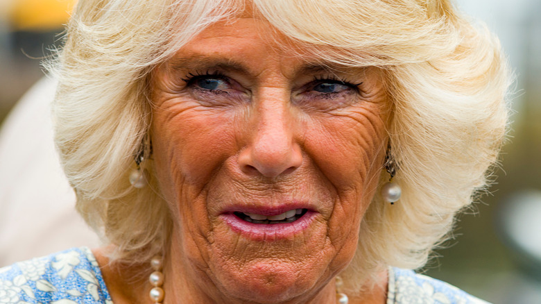 Camilla, the Duchess of Cornwall