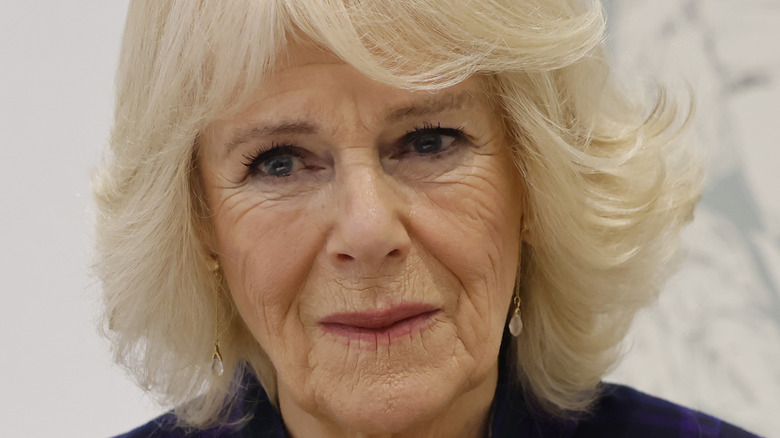 Camilla Parker Bowles smiling